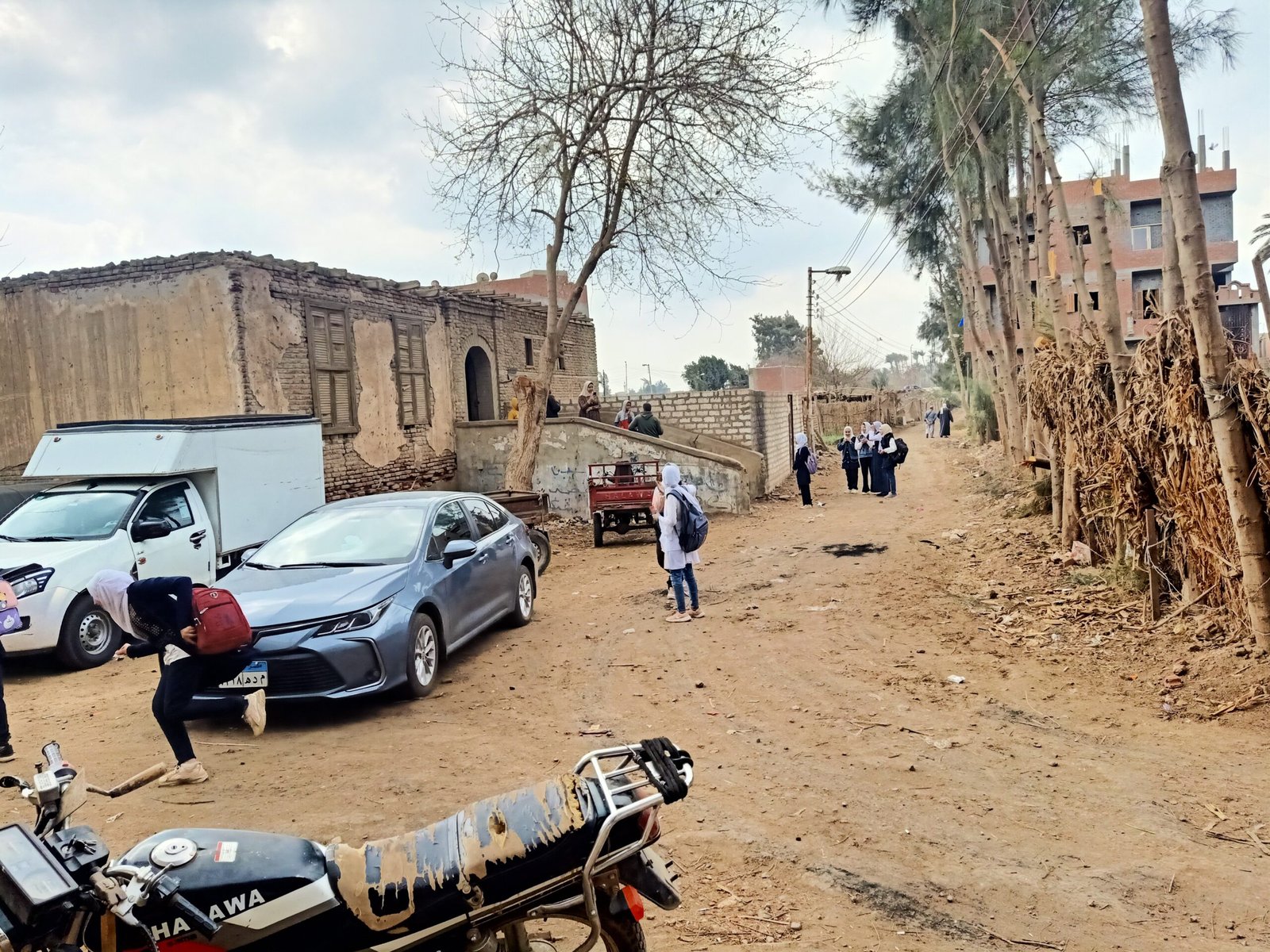 مقبرة أثرية بالمنوفية تسكنها الخفافيش.. والمواطنون يناشدون الجهات المختصة بمكافحتها 