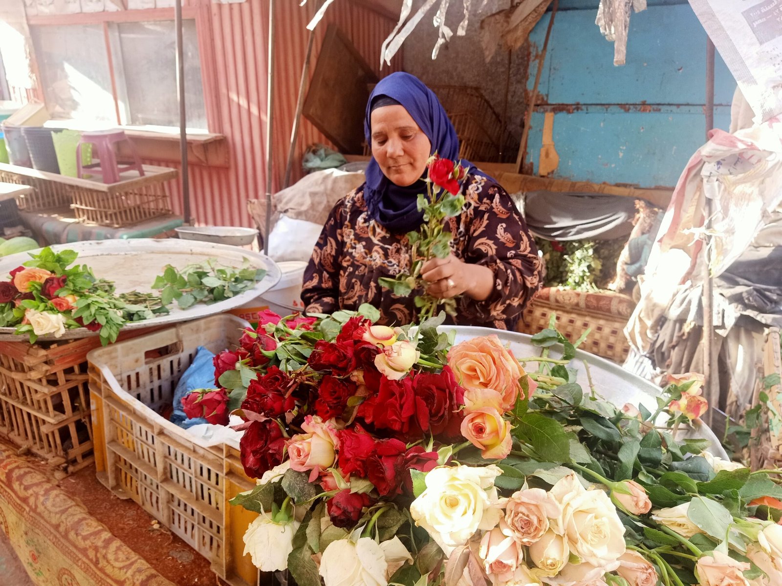 غاب الفسيخ وحضر الورد.. أهل المنوفية يحتفلون بشم النسيم