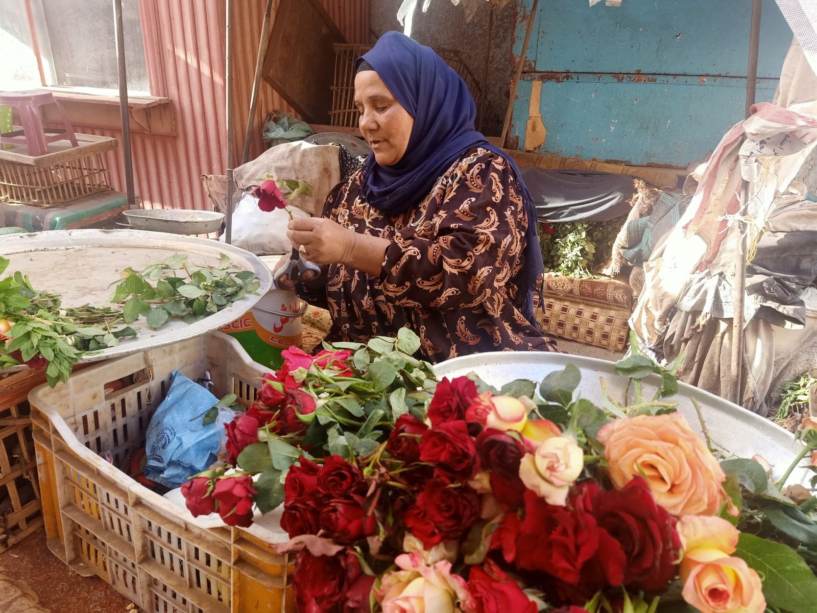 غاب الفسيخ وحضر الورد.. أهل المنوفية يحتفلون بشم النسيم
