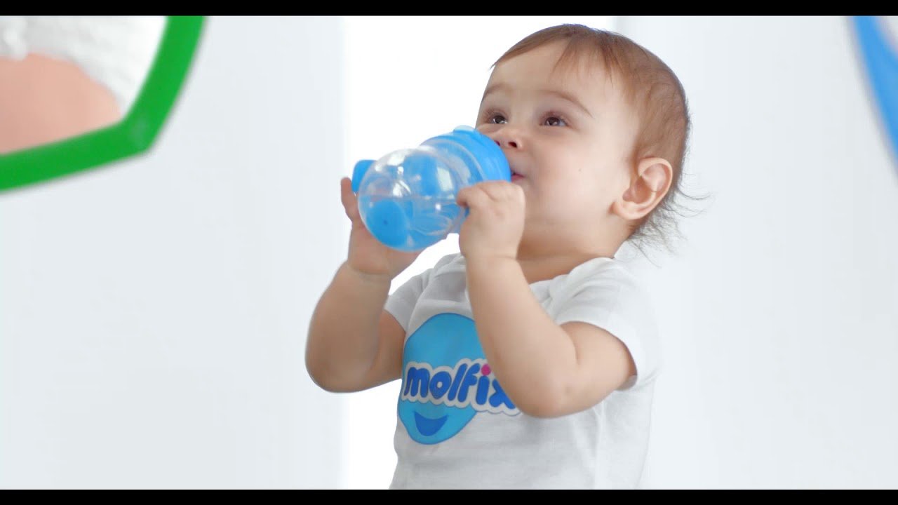 أصل شركة مولفيكس  اعرف الأن  أصل شركة مولفيكس  في 2025