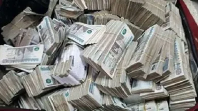 تاجرا في النقد الأجنبي .. ضبط متهمين بغسيل الأموال في الجيزة والمنيا