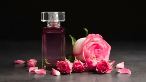 الورود هي الطبيعة الصامتة النابضة بكل أنواع الحياة 