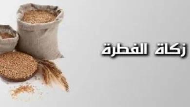 زكاه الفطر