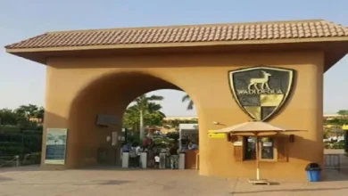 عضوية نادي وادي دجلة