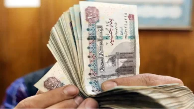 زيادة المرتبات 2024 القطاع الحكومي