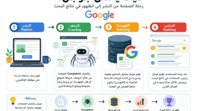 كيف يعمل جوجل من خلال الزحف والفهرسة والترتيب