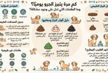 كم مرة يتبرز الجرو يوميًا؟ وما العلامات التي تدل على وجود مشكلة؟
